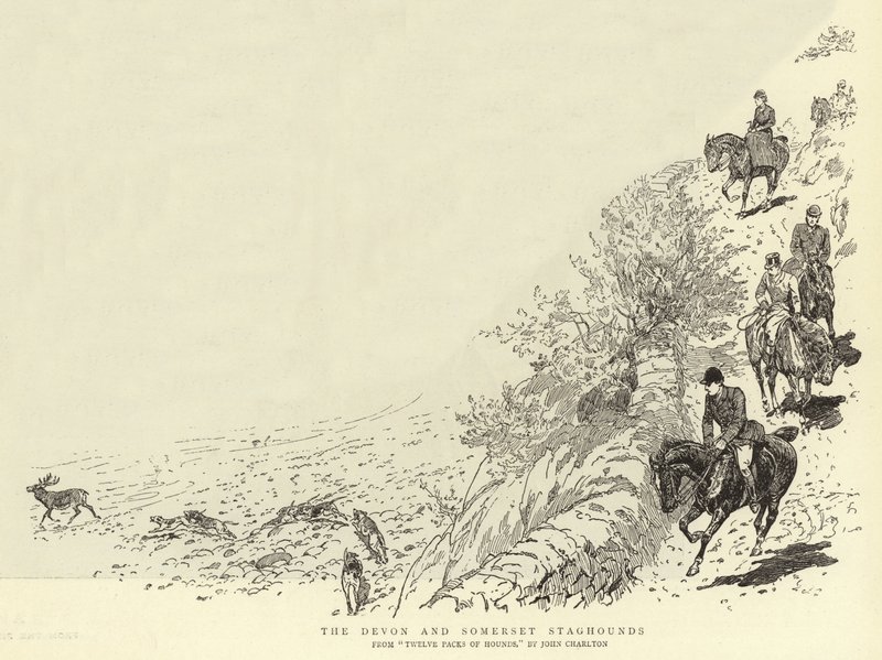 Devon ve Somerset Staghounds by John Charlton