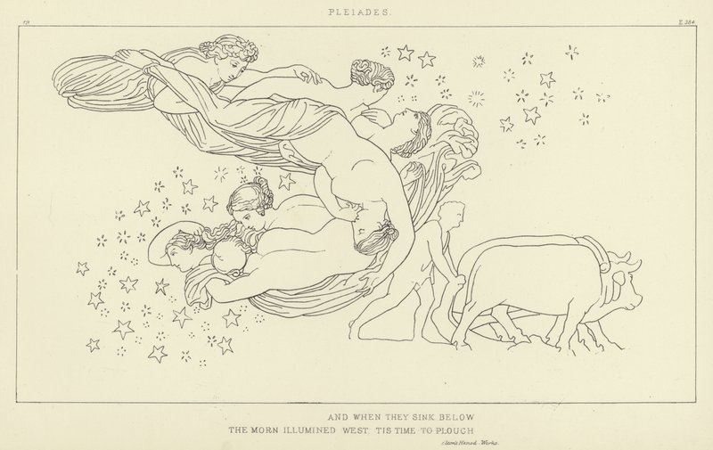 Bay Delphini, Aladdin