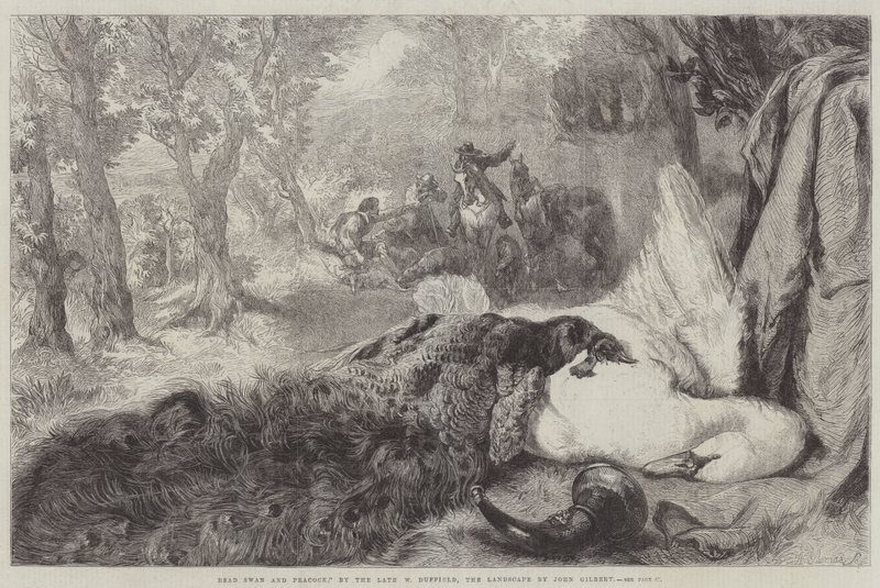 Ölü Kuğu ve Tavus Kuşu by John Gilbert
