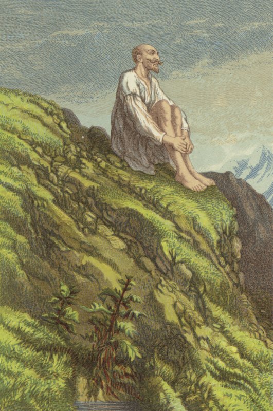 Don Quixote on the Sierra Morena doing penance (chromolitho) by John Gilbert