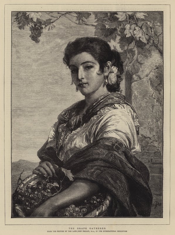 ದ್ರಾಕ್ಷಿ ಸಂಗ್ರಹಕಾರ ಟರ್ಕಿ by John Phillip