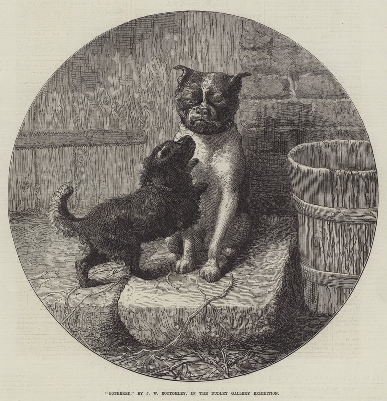 rahatsız by John William Bottomley