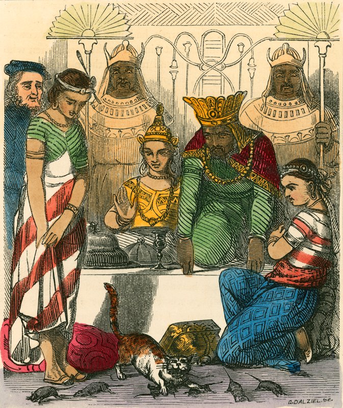 Moors
