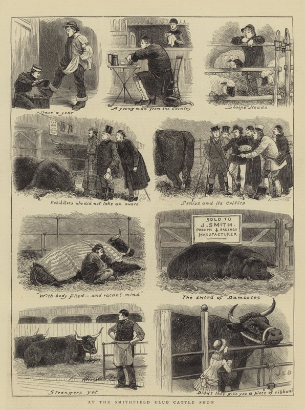 Smithfield Club Sığır Gösterisinde by John Charles Dollman