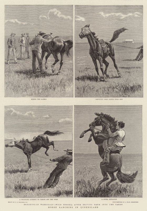 Queensland'de At Çiftliği by John Charles Dollman
