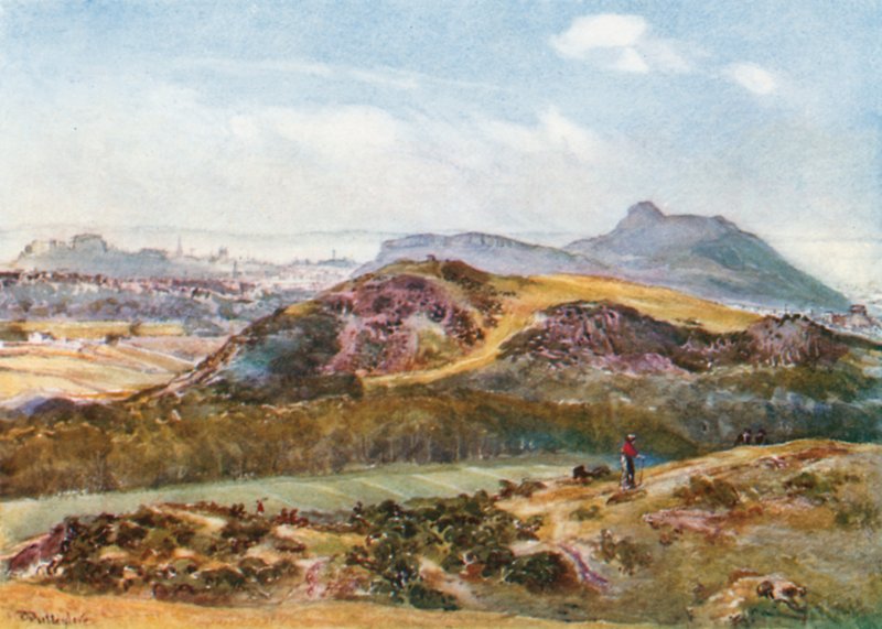 Braid Hills