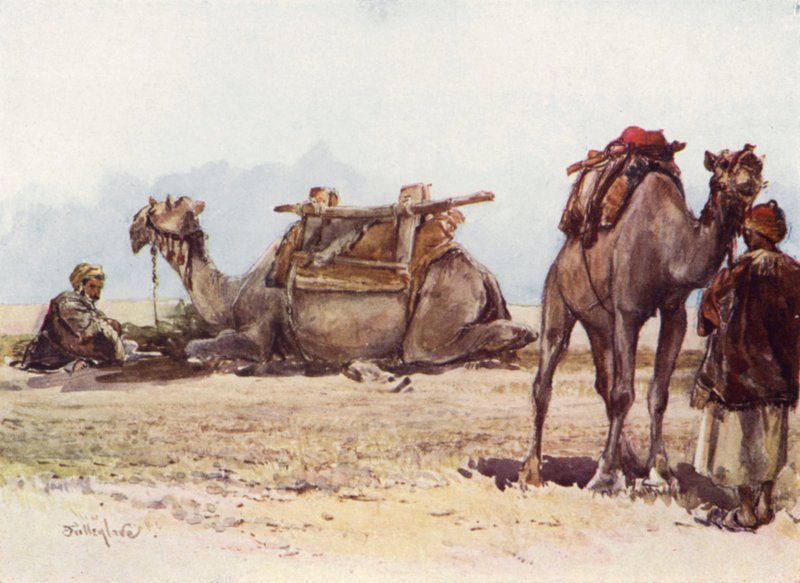 Develer ve Hizmetlilerin Çalışması by John Fulleylove