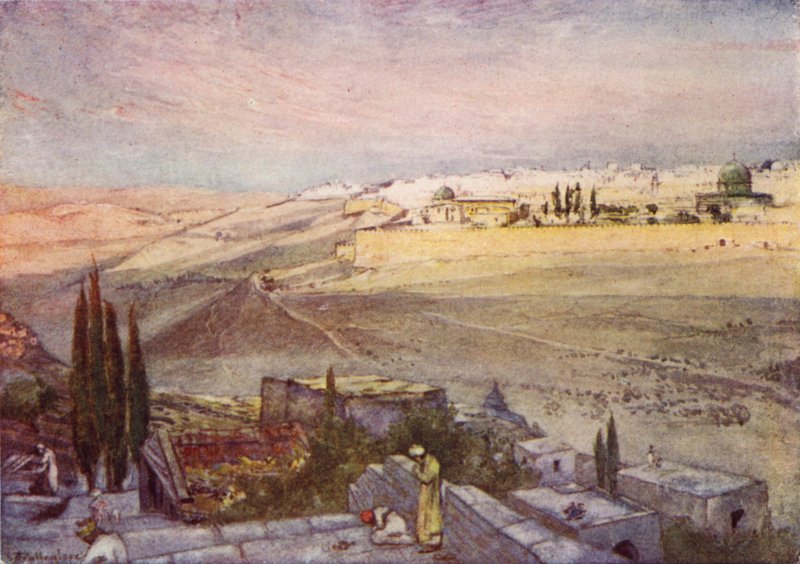 Zeytin Dağı
