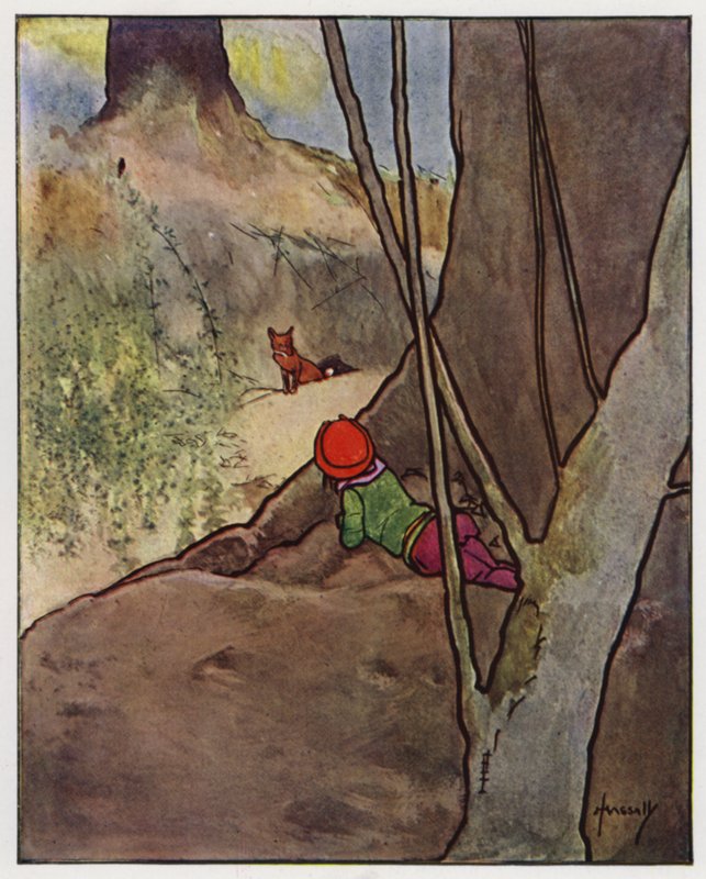 Tilki (renkli taş) by John Hassall