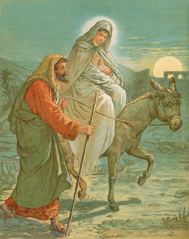 Mısır