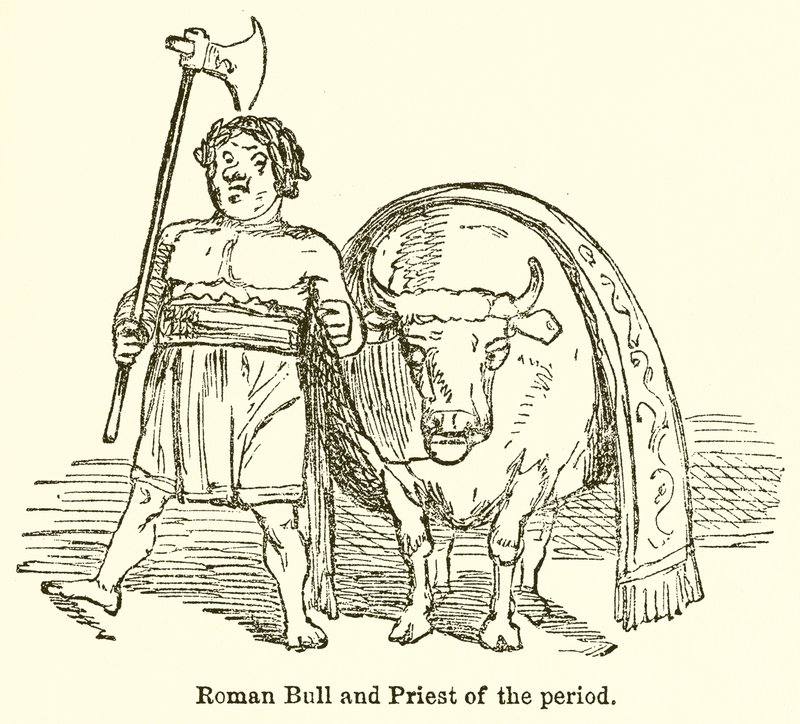 Roman Bull and Priest of the Period  by John Leech