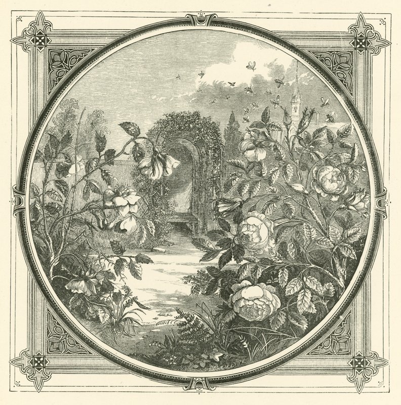 Arılar solan çiçeklere dokunmaz (gravür) by John Leighton