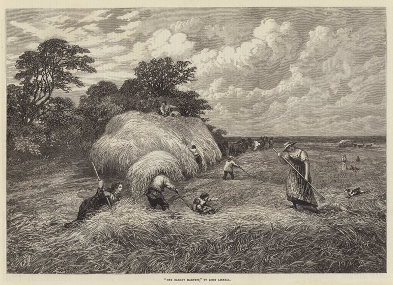 ಬಾರ್ಲಿ ಹಾರ್ವೆಸ್ಟ್ ಟರ್ಕ್ by John Linnell