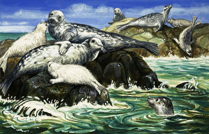  by John Rignall