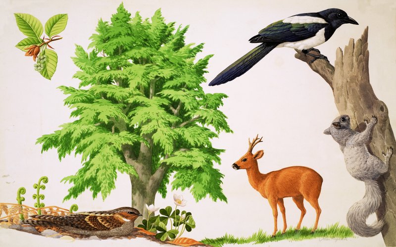  by John Rignall