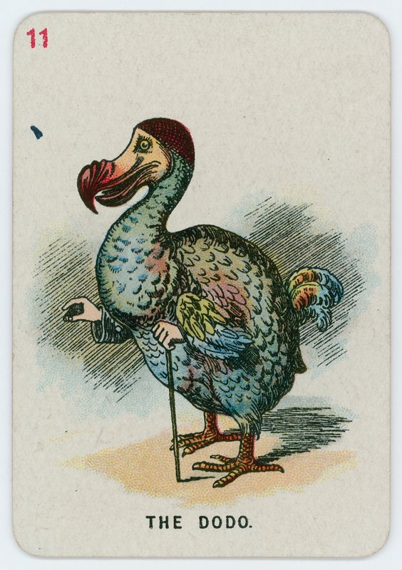 Dodo by John Tenniel