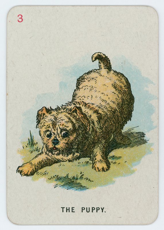 Köpek yavrusu by John Tenniel