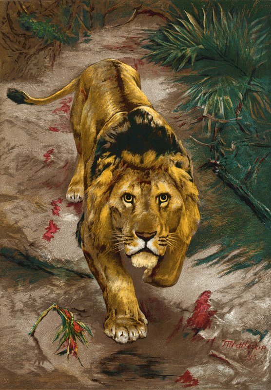 Kan İzi by John Trivett Nettleship