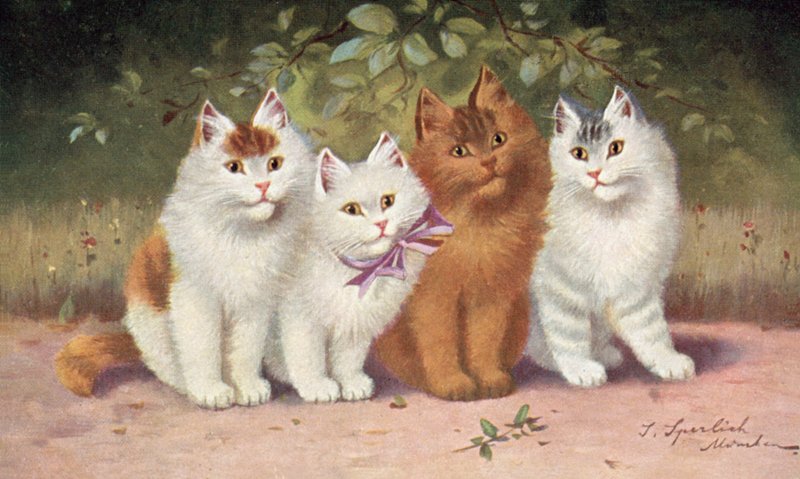  by Josef Sperlich
