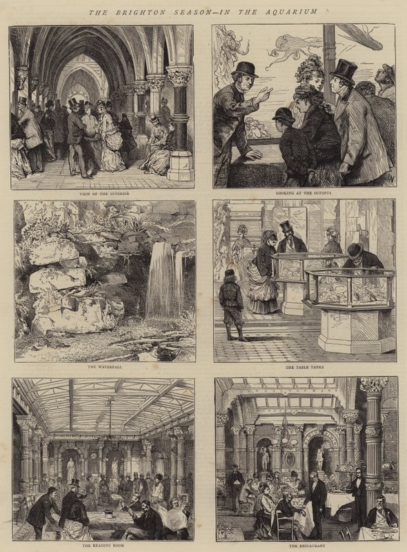Akvaryumda Brighton Sezonu by Joseph Nash