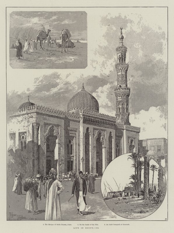 Mısır