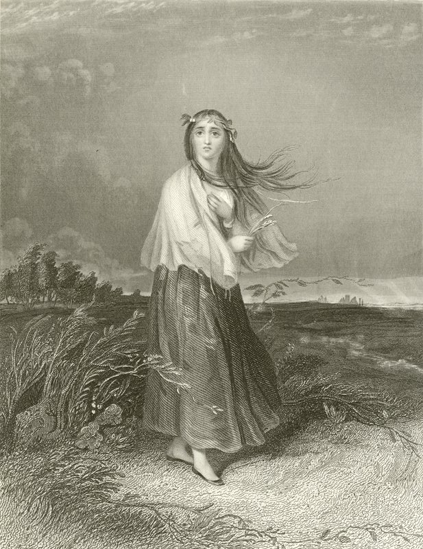 Kate is crazed  by Joseph John Jenkins