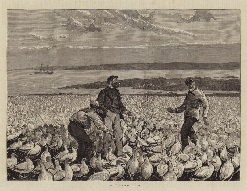 Bir Guano Yatağı by Joseph Nash