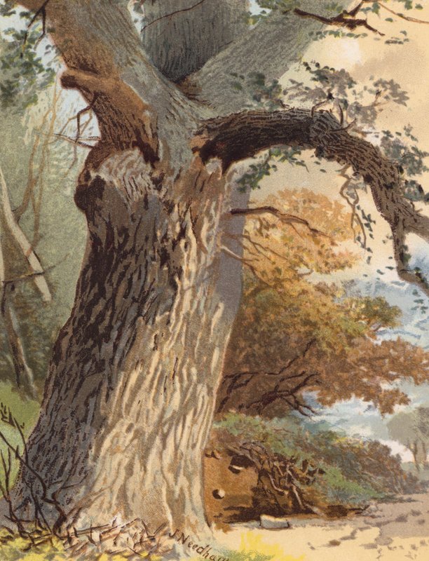  by Joseph Needham