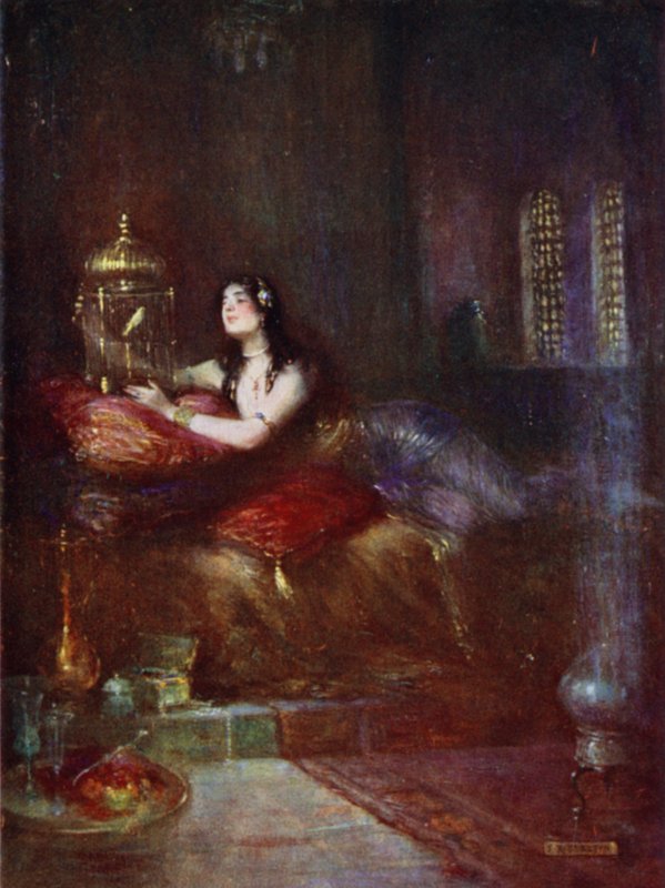 Sultan ve Kanaryası by Joseph Ratcliffe Skelton