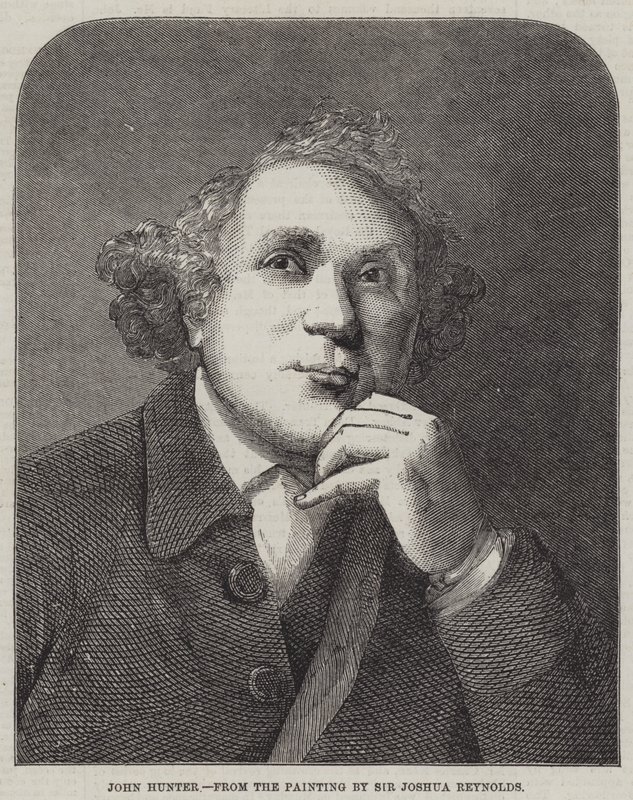 John Avcı by Joshua Reynolds