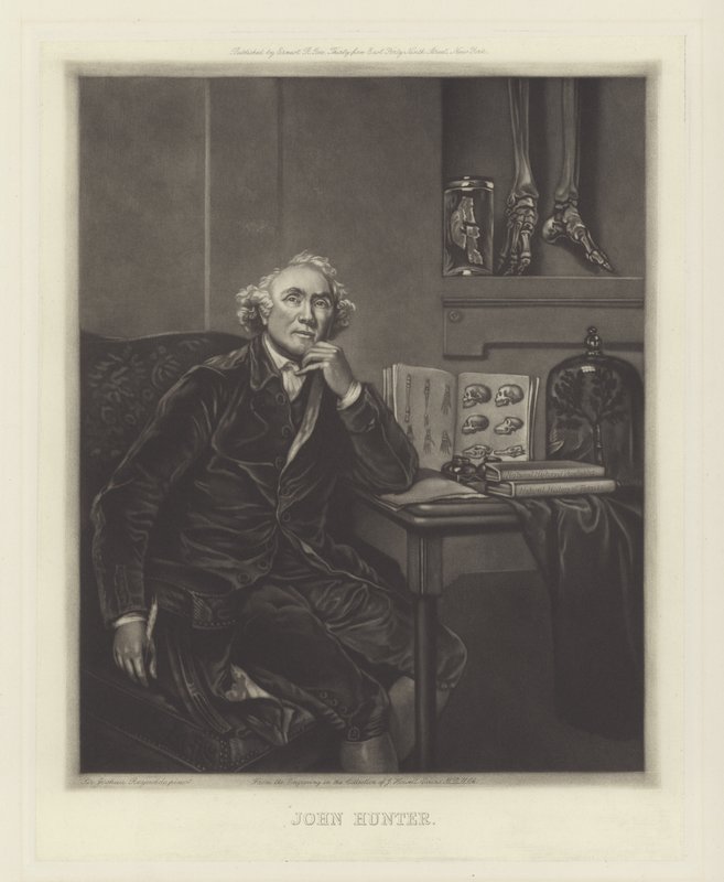 ಜಾನ್ ಹಂಟರ್, ಸ್ಕಾಟಿಷ್ ಸರ್ಜನ್ ಟರ್ಕ್ by Joshua Reynolds