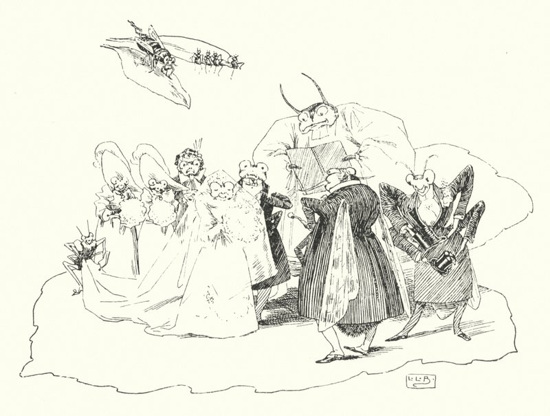 Fiddle-de-dee, fiddle-de-dee (gravür) by Leonard Leslie Brooke