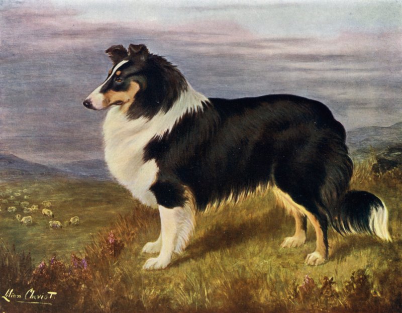 Muhterem Hans F Hamilton