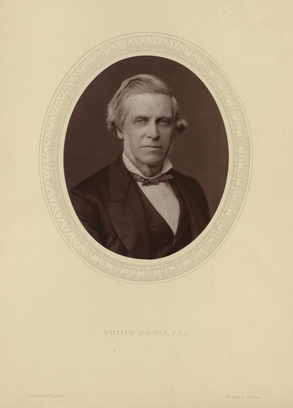 ಸರ್ ವಿಲಿಯಂ ಬೌಮನ್ ಟರ್ಕ್ ಅವರ ಭಾವಚಿತ್ರ by Lock and Whitfield