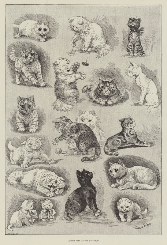 Kedi Gösterisinde Yavru Kedi Yaşamı by Louis Wain