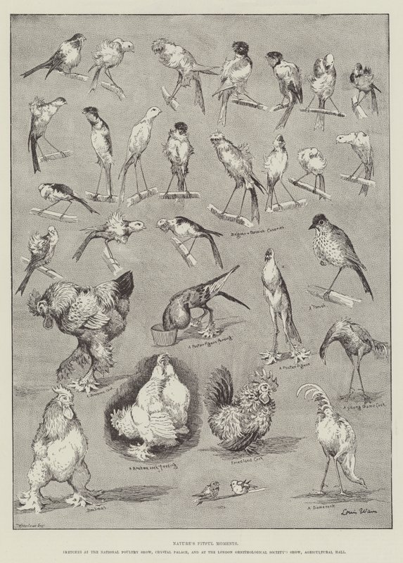 Doğanın Uygun Anları by Louis Wain