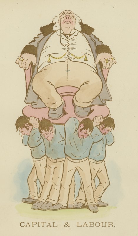 Cynicus