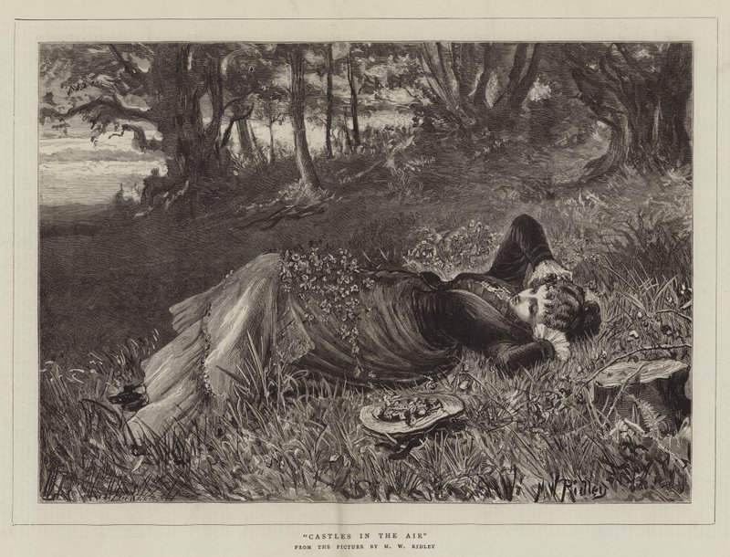 Havadaki Kaleler by Matthew White Ridley
