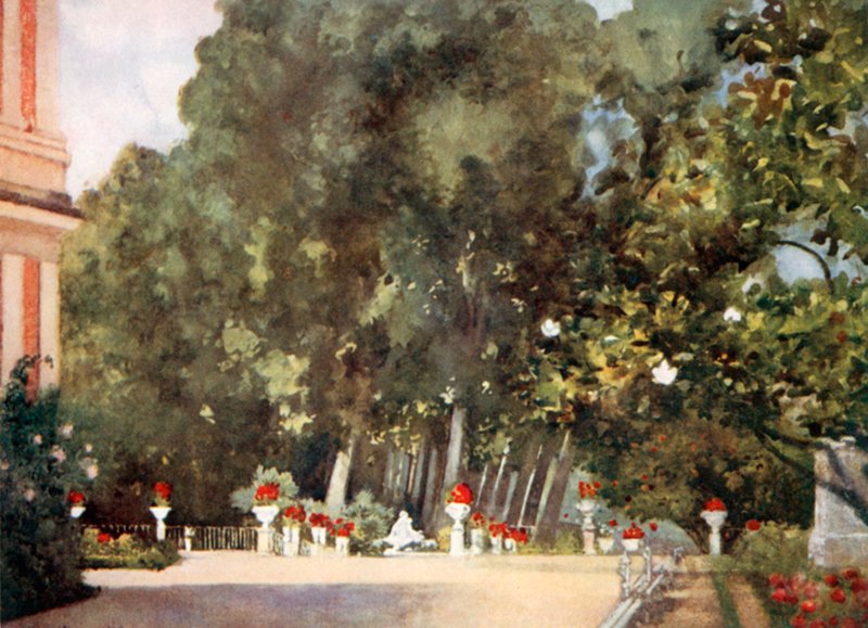 The Magnolia Tree, Aranjuez by Mima Nixon