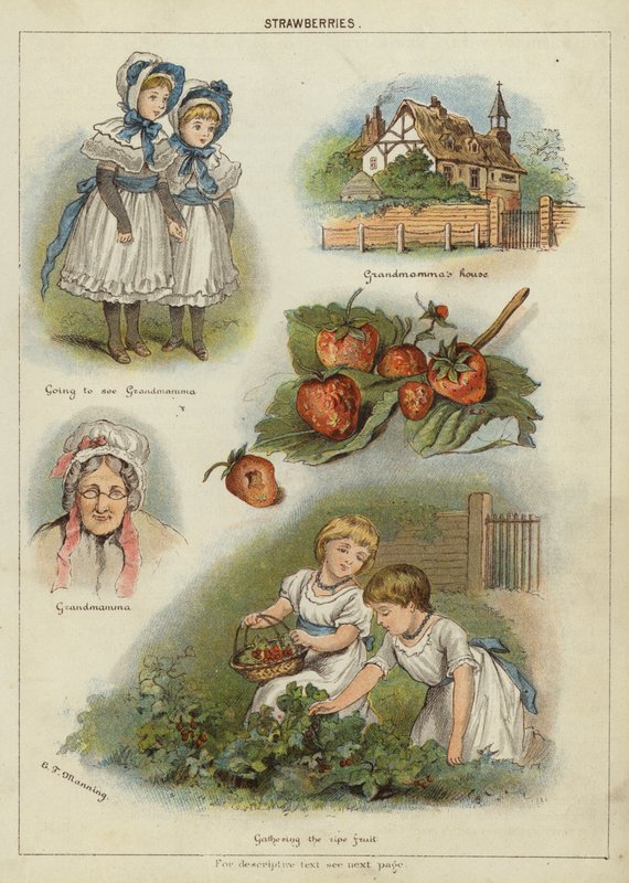 Çilek (kromolitho) by Miss Eliza F. Manning