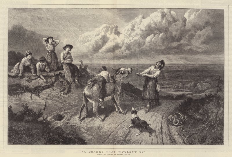 ಟರ್ಕಿಗೆ ಹೋಗದ ಕತ್ತೆ by Myles Birket Foster