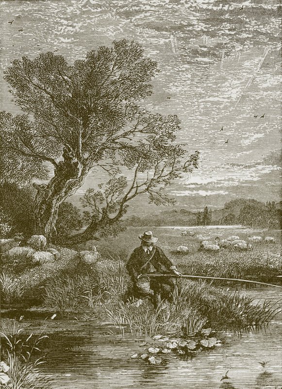 Angler