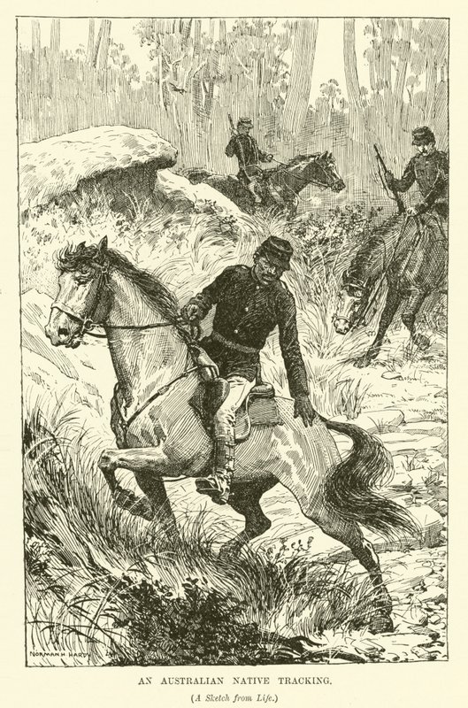 Avustralya Yerlisi izleme (gravür) by Norman Hardy