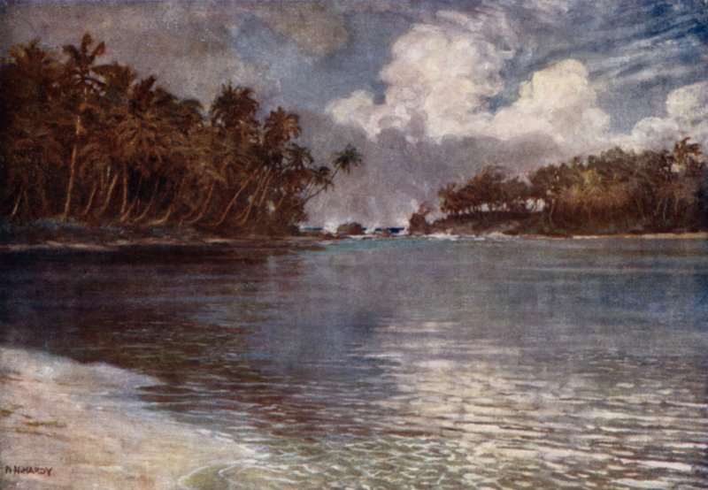Resif ve Palmiye ile (renkli lito) by Norman Hardy