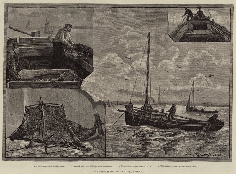 Balıkçılık Endüstrilerimiz, Whitebait Balıkçılık by Percy Robert Craft