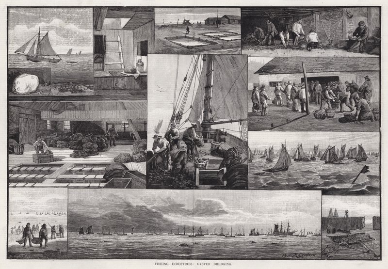 Balıkçılık Endüstrileri, İstiridye Tarama (gravür) by Percy Robert Craft