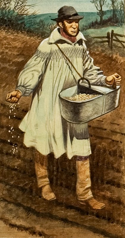 Ekme by Peter Jackson