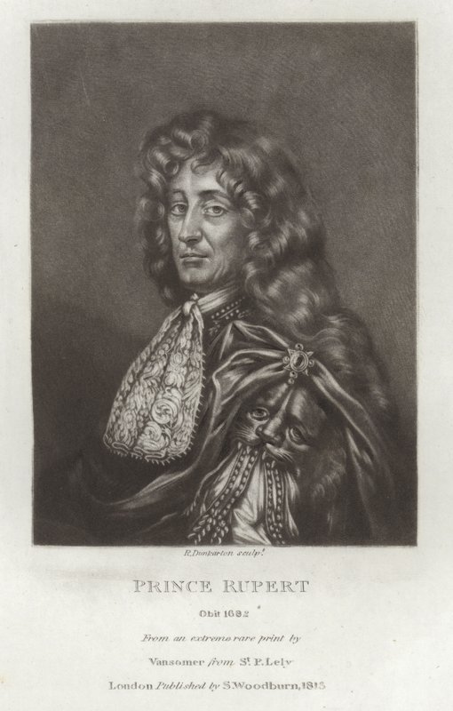 Prens Rupert by Peter Lely