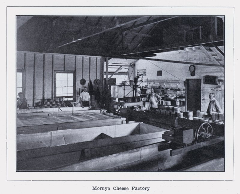 Moruya Peynir Fabrikası (s/b fotoğraf) by Photographer Australian