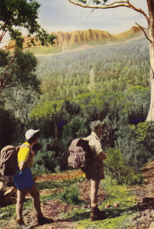 Tazmanya: Olimpos Dağı yakınlarındaki yürüyüşçüler (renkli fotoğraf) by Photographer Australian
